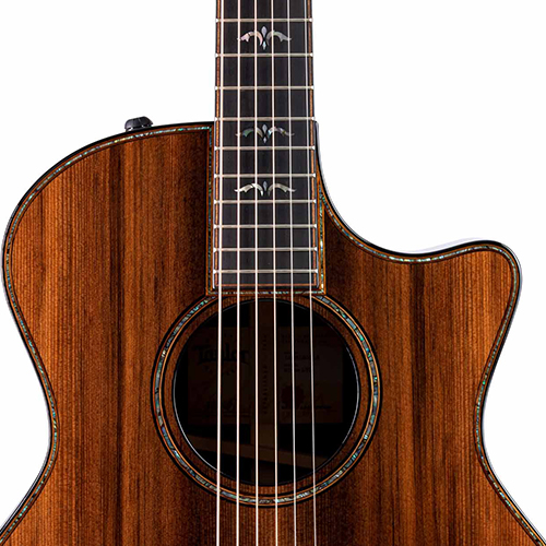 Taylor-914ce-LTD-det5-2020.jpg