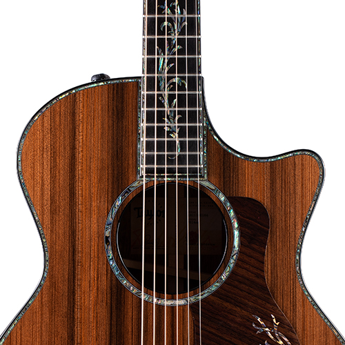 1622444702639366.jpg Taylor-PS14ce-det5-2020.jpg